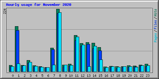 Hourly usage for November 2020